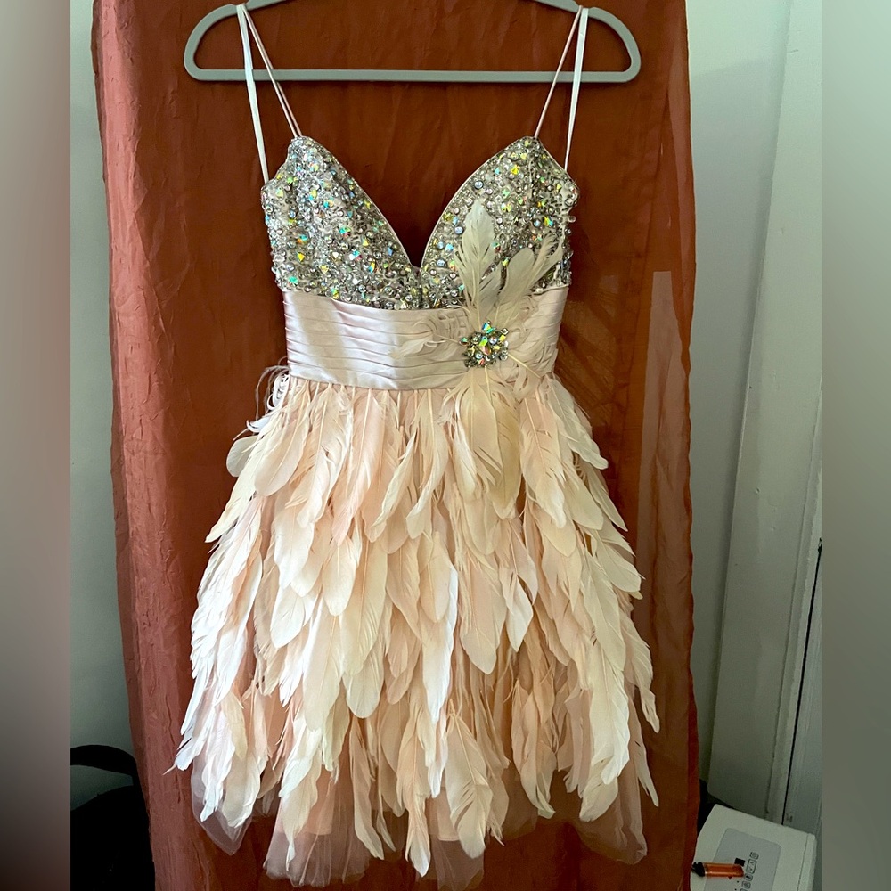 Macduggal XS pink feather prom dress.